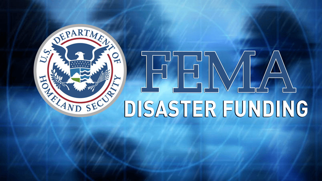 FEMA Storm logo