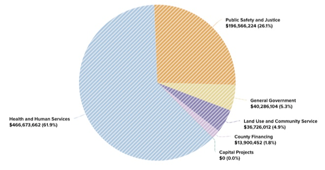 pie graph of the County's Budget