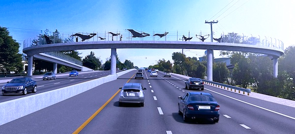 image of bike bridge over highway 1