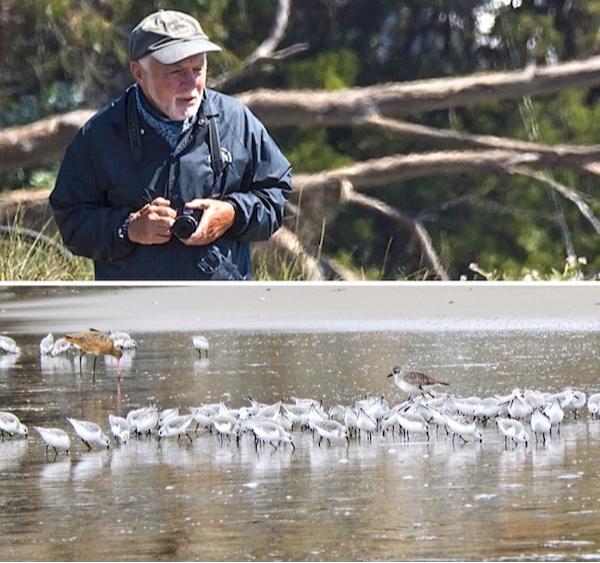 photo of Keith Angell and Corcoran Lagoon birds